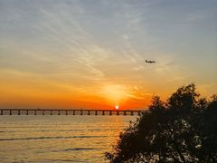 -宝安西湾红树林湿地公园