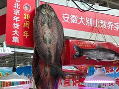 -中国农业博物馆