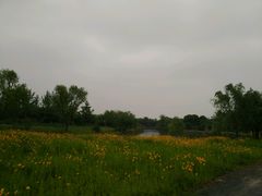 -梁鸿国家湿地公园