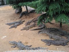 -石家庄市动物园