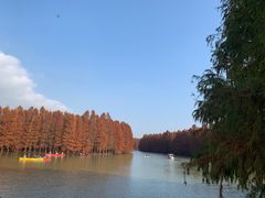 -上海海湾国家森林公园