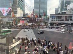 -涩谷区