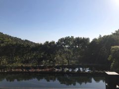 -九龙潭景区