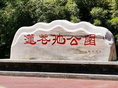 -莲花池公园