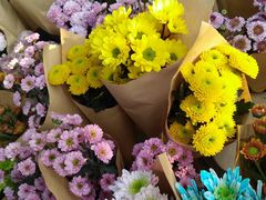 -三圣花乡旅游区