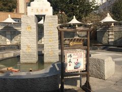 -金凤凰温泉度假村·凤凰汇中餐厅