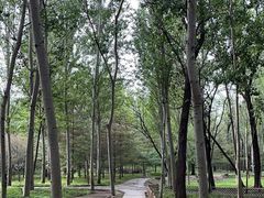 -森林公园(尖草坪区)