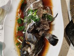 -巧克力渔家.小船海鲜胶东菜(万平口店)