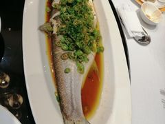 -新雅粤菜馆(南京东路店)