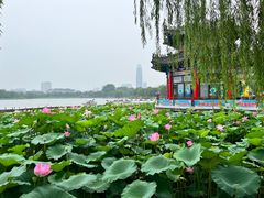 -济南大明湖景区