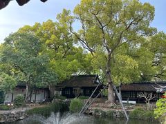 -上海醉白池公园