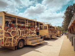 -威勒比开放式动物园