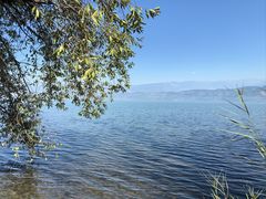 -西昌邛海湿地