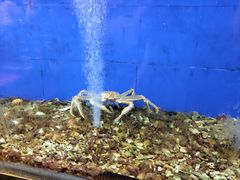 -楼外楼(西湖景区孤山路店)