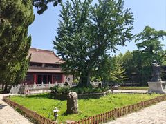 -苏州文庙(姑苏区)