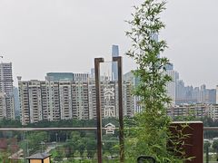 -小茶闲舍·观景商务茶馆(广州塔店)