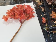 -上海星瀚奔驰4S店(红柳路店)