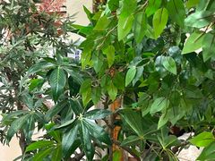 -水中央富硒温泉