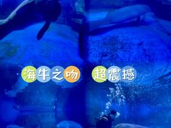 -烟台海昌鲸鲨海洋公园