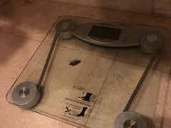 -深圳海景嘉途酒店(东翼楼)