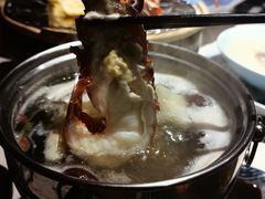 澳洲龙虾-綱元·海鲜豆捞(明州里店)