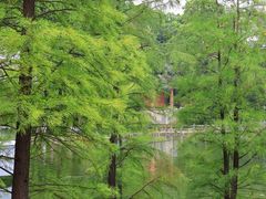 -广州市白云山风景名胜区
