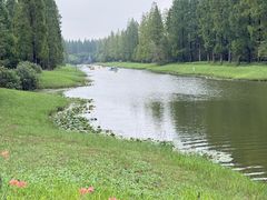 -黄海国家森林公园