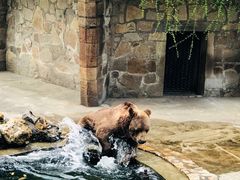 -上海动物园(地铁站)