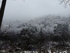 -午潮山国家森林公园