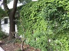 -龚家花园农家乐休闲别墅