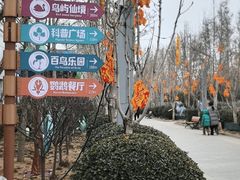 -南宫五洲植物乐园