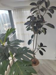 -HEYAN荷妍专业脱毛连锁机构