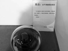 -成都失恋馆