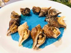-诺莱仕游艇会