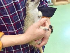 -藦茜花园宠物主题亲子互动体验馆(国顺东路店)