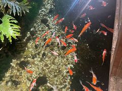 -聚缘堂·海鲜私房菜(松岭路店)