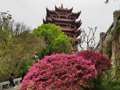 -黄鹤楼