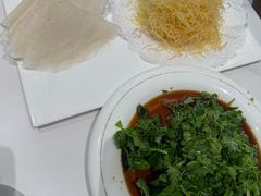 -丁老爷子苏香圆
