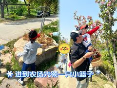 -九善农植有机生活农场