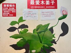 -青山青豆花·笑禅豆腐鱼(黄泥塝店)