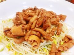 -顺德了能馆(虎门店)