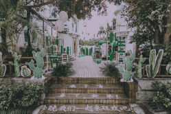 -金禧婚礼定制