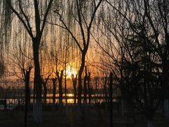 -大兴滨河森林公园