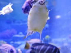 -多彩贵州城极地海洋世界