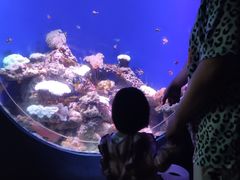 -江和美海洋公园