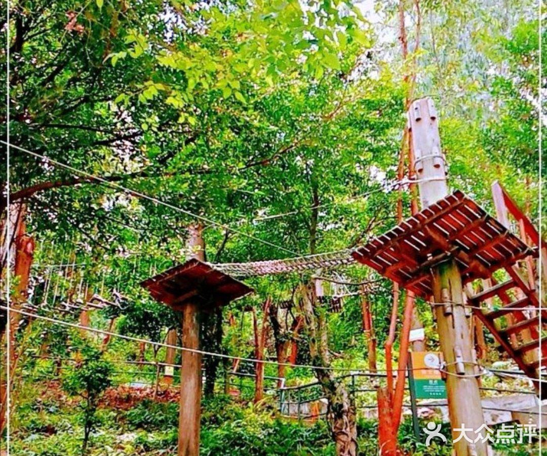 刺激的探险之旅