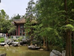 -顺峰山公园