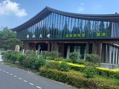 -东平国家森林公园