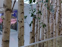 -极简口腔(总院)