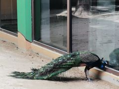 -宁波九龙湖开元度假村